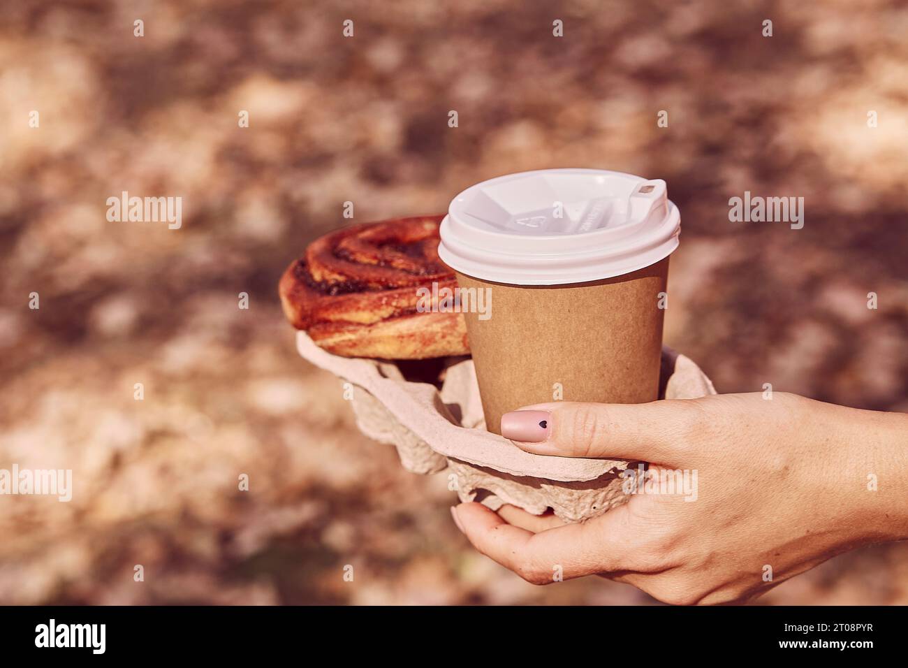 Aesthetic autumn breakfast, walking in the park - Cinnabon bun with coffee ouside. Fall picnic. Stock Photo