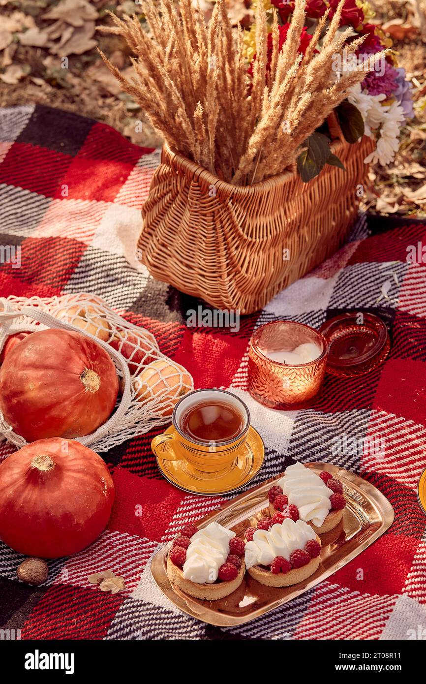 Aesthetic Autumn picnic ideas in the park autumn decorations