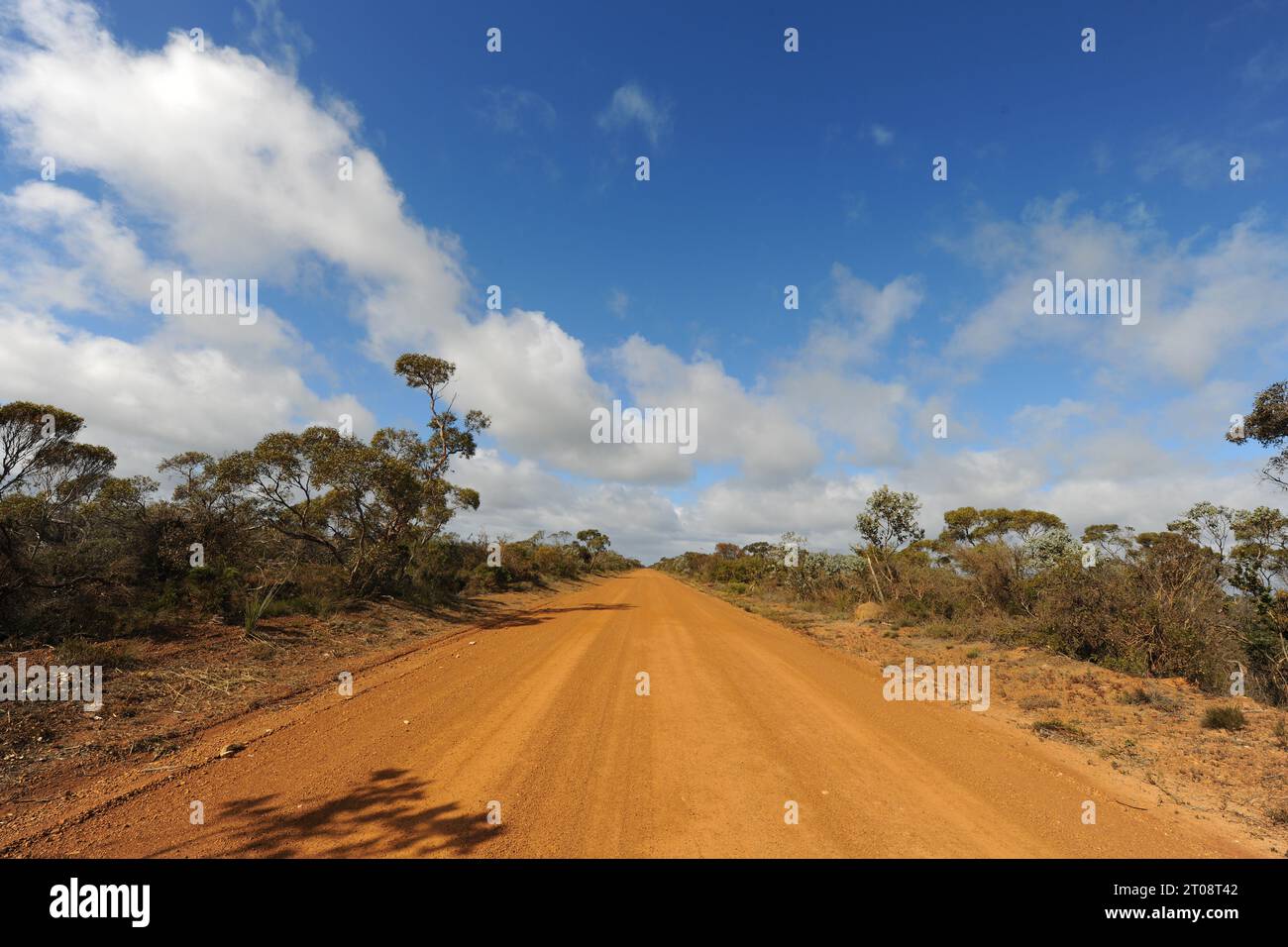 Long, straight red dirt track in the outback, Western Australia, Australia Stock Photo