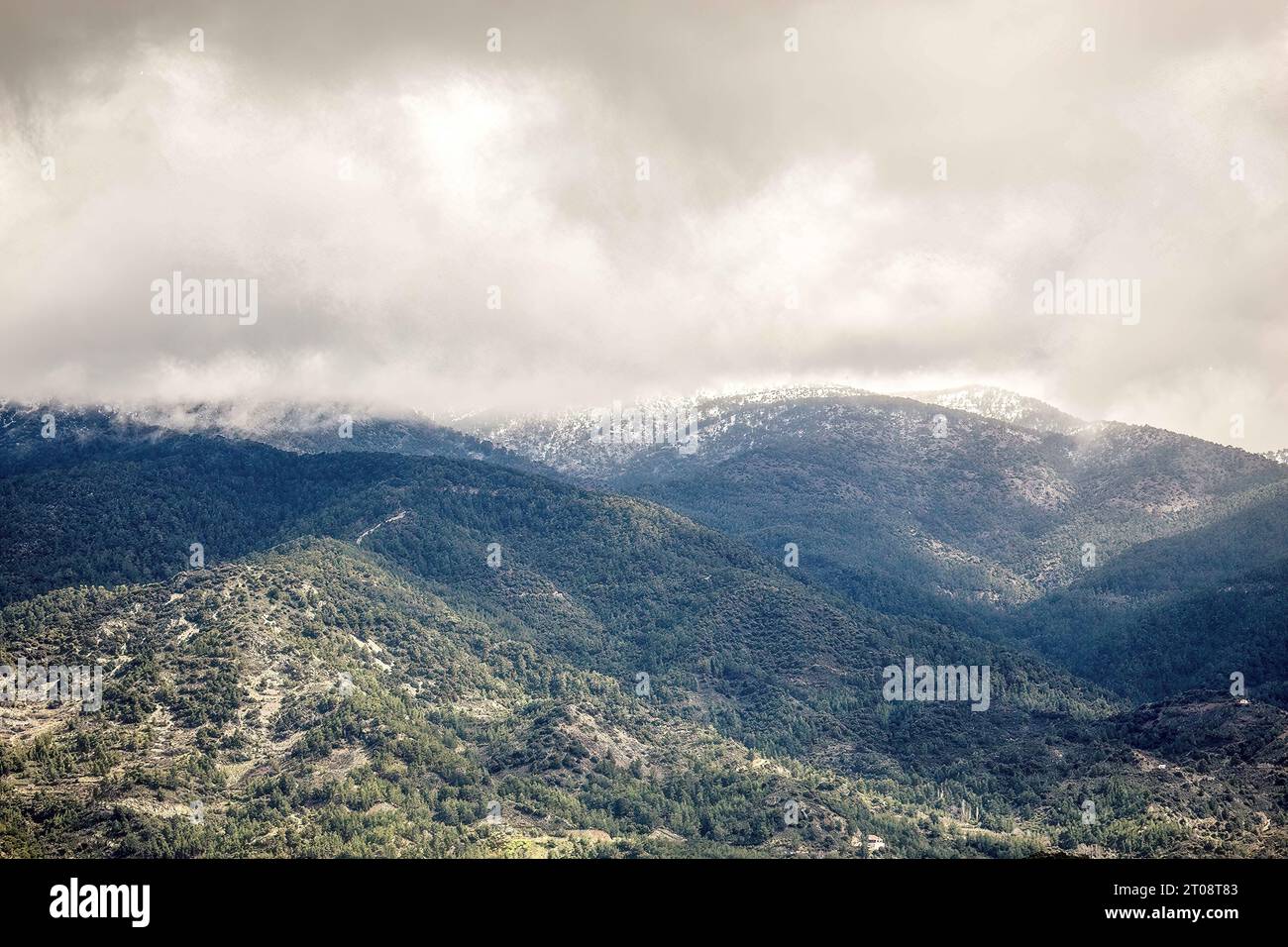 In the Troodos Stock Photo