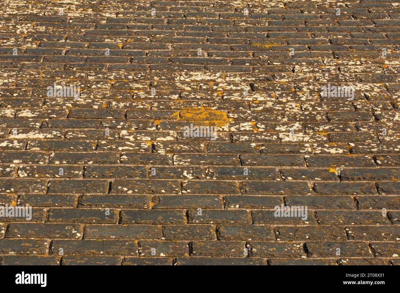 Full frame image of a slate roof, ideal for use as a background - John Gollop Stock Photo