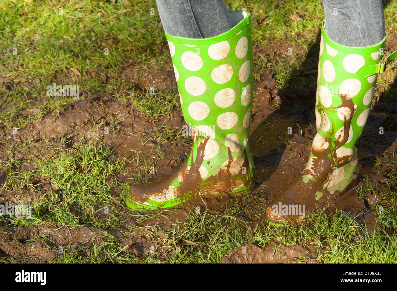 Close-up of green polka dot green wellington boots in very muddy conditions - John Gollop Stock Photo
