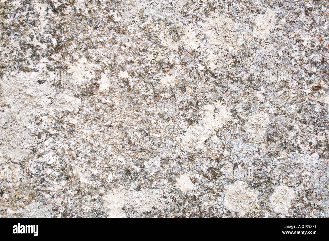 Close-up of lichen covered granite, ideal for use as a background - John Gollop Stock Photo