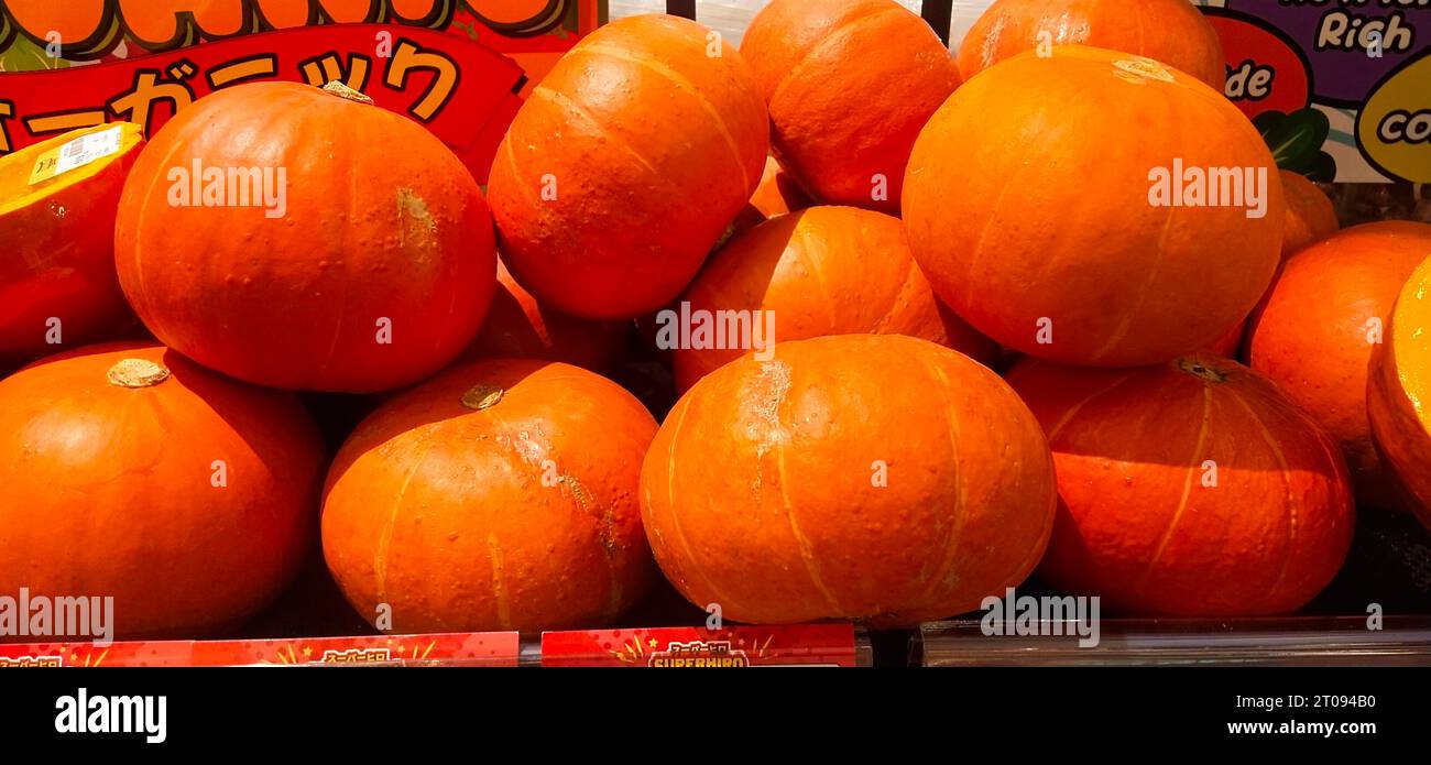 Types Of Orange Pumpkins Types Of Orange Pumpkins