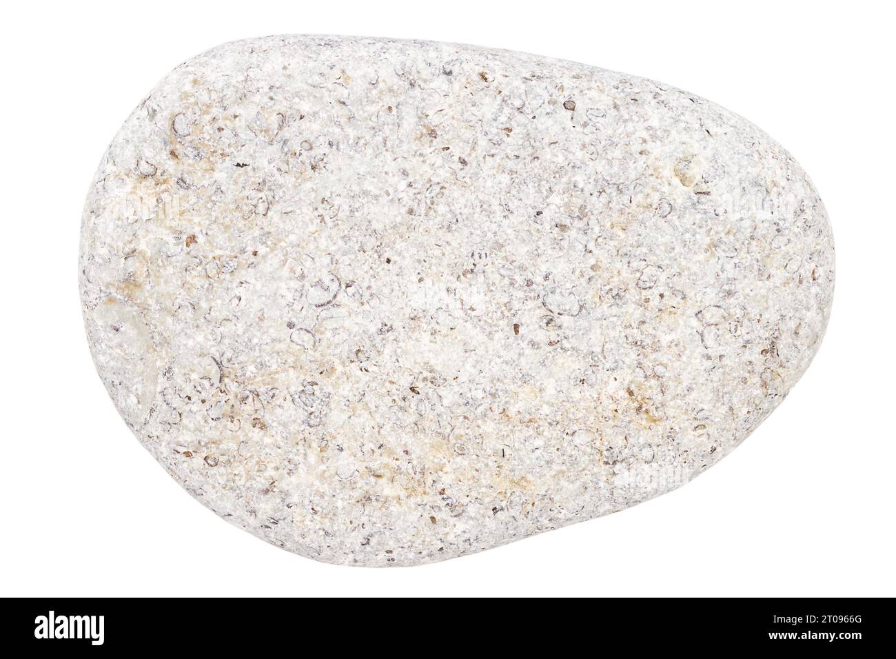 Top view of single gray pebble isolated on white background. Stock Photo