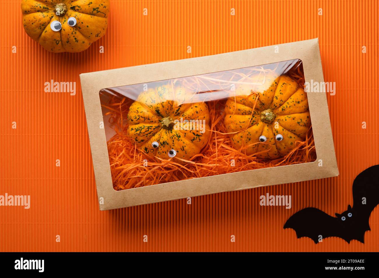 Halloween holiday background. Orange pumpkin in box, bat with funny eyes, spider, spider web, old leaves and branches from scary forest on orange back Stock Photo