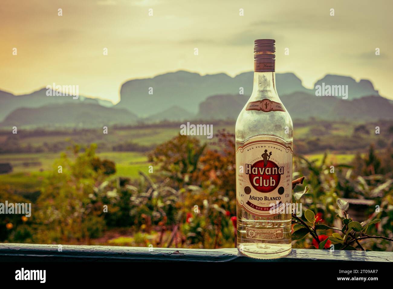 Vinales, Cuba A bottle of Havana Club rum with mountains in the background Stock Photo Alamy