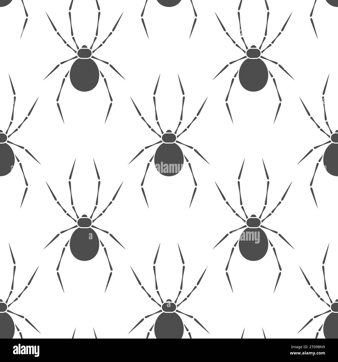 Seamless pattern with spider. Vector black and white background Stock ...