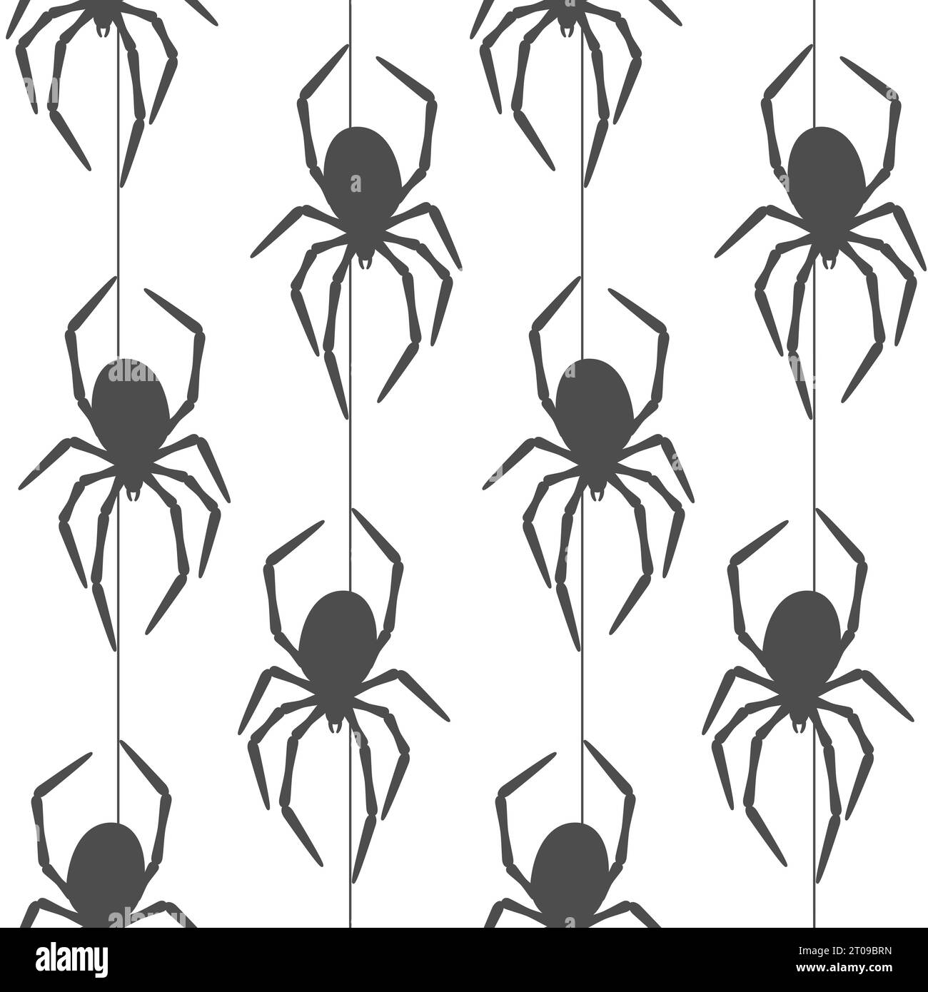 Seamless pattern with spider. Vector black and white background. Stock Vector