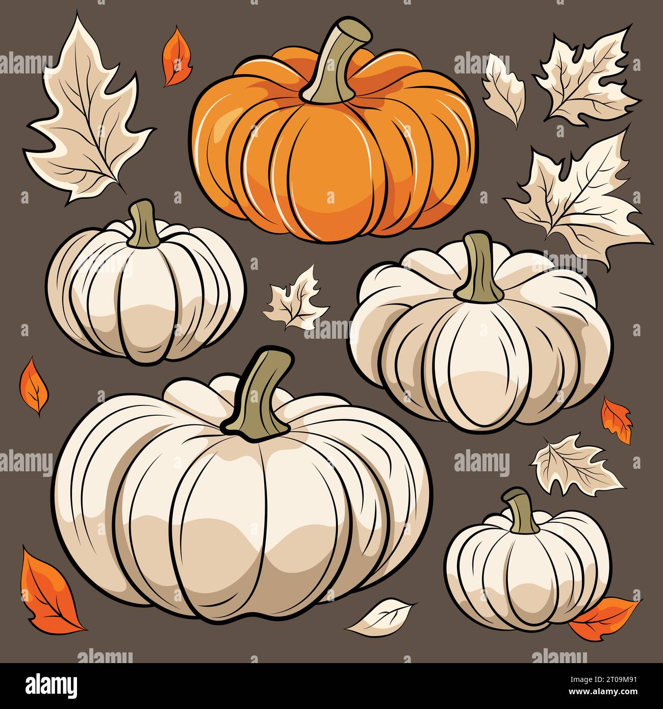 Set of pumpkins. Vector illustration for design poster, banner, print. Stock Vector