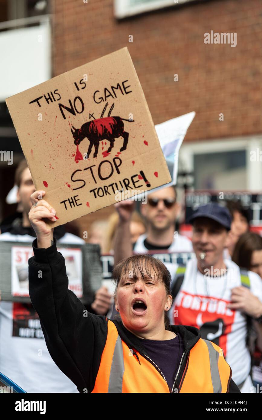 Angry female protesting against Bullfighting during a demonstration march which ended outside the Spanish embassy in London, UK Stock Photo