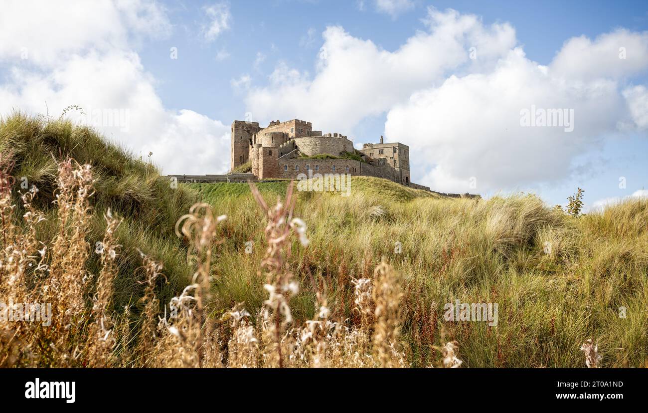 Coastal view of Bamburgh Castle rising from the sand dunes at Bamburgh ...
