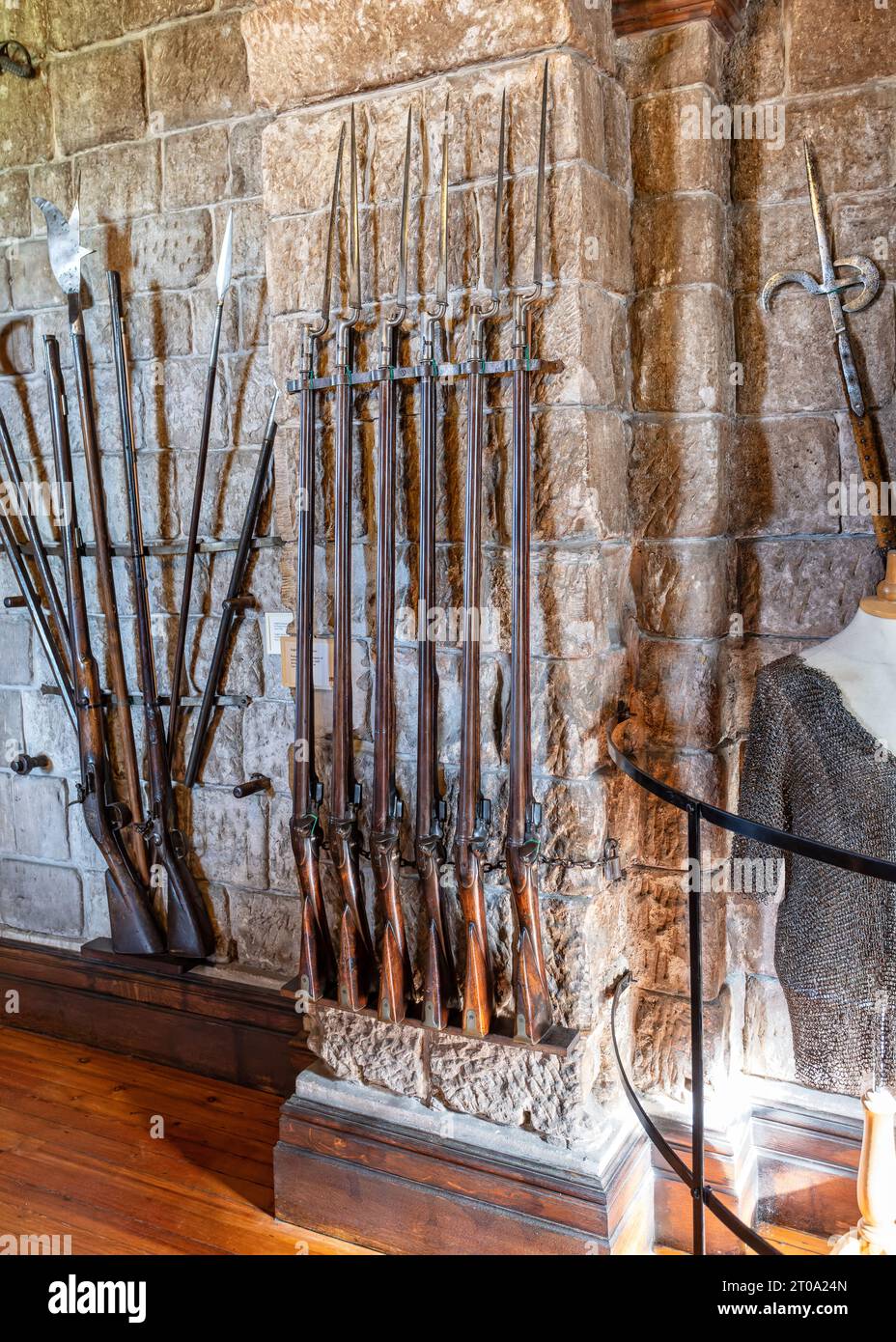 Set of 6 medieval flintlock rifles with bayonets on display in Bamburgh Castle, Bamburgh, Northumberland, UK on 25 September 2023 Stock Photo