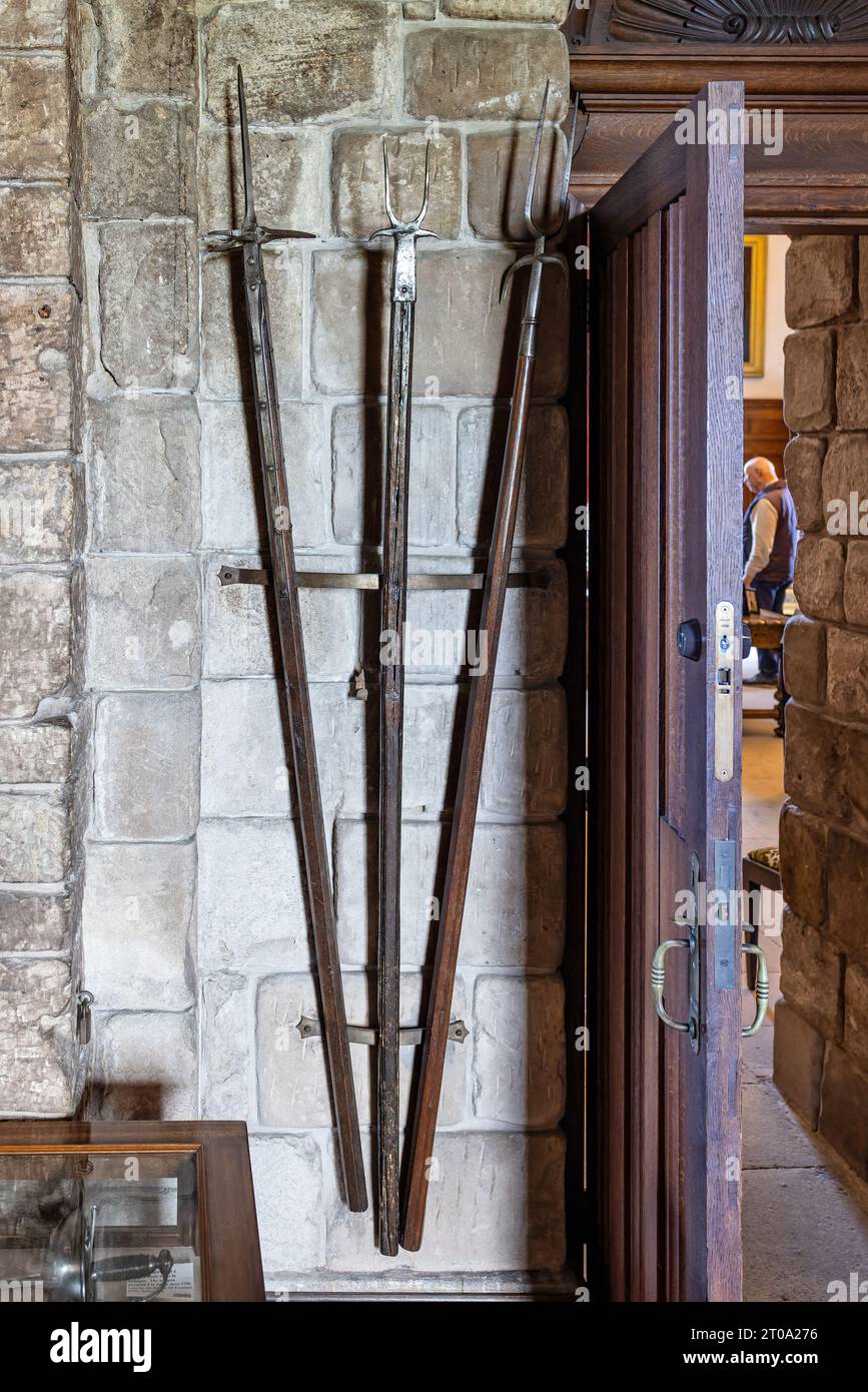Medieval pikes on display in Bamburgh Castle, Bamburgh, Northumberland, UK on 25 September 2023 Stock Photo