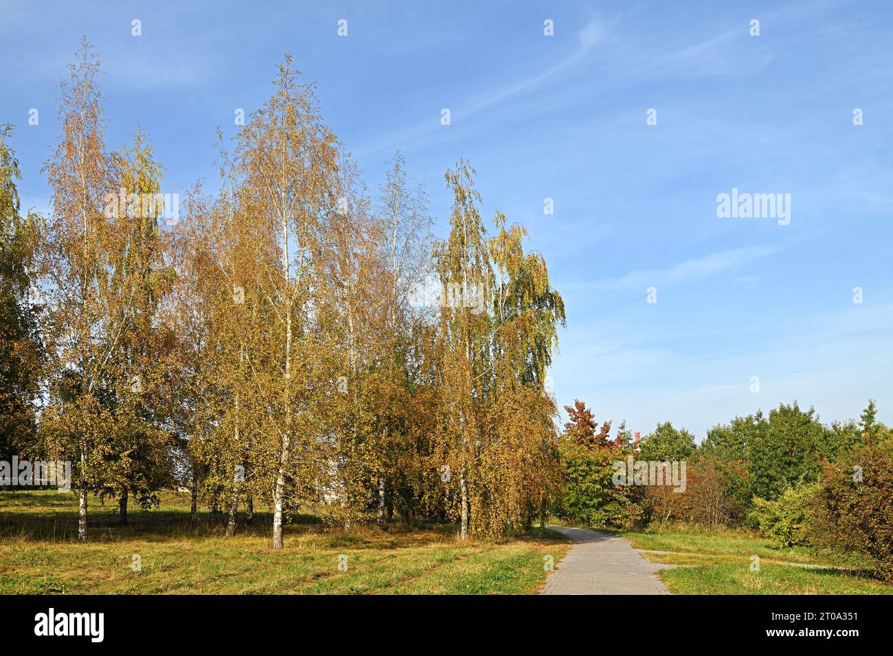 Golden autumn. Picturesque Mitino Nature-Landscape Park landscape. Moscow, Russia Stock Photo