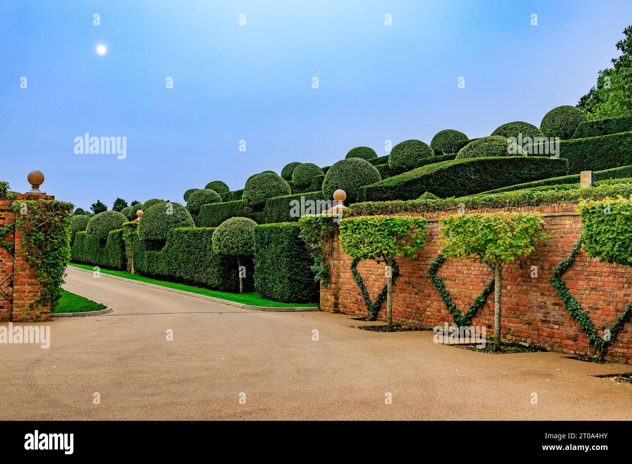 The meticulously and neatly shaped pear trees and yew hedges in the gardens of The Old Hall Hotel near Ely, Cambridgeshire, England, UK Stock Photo