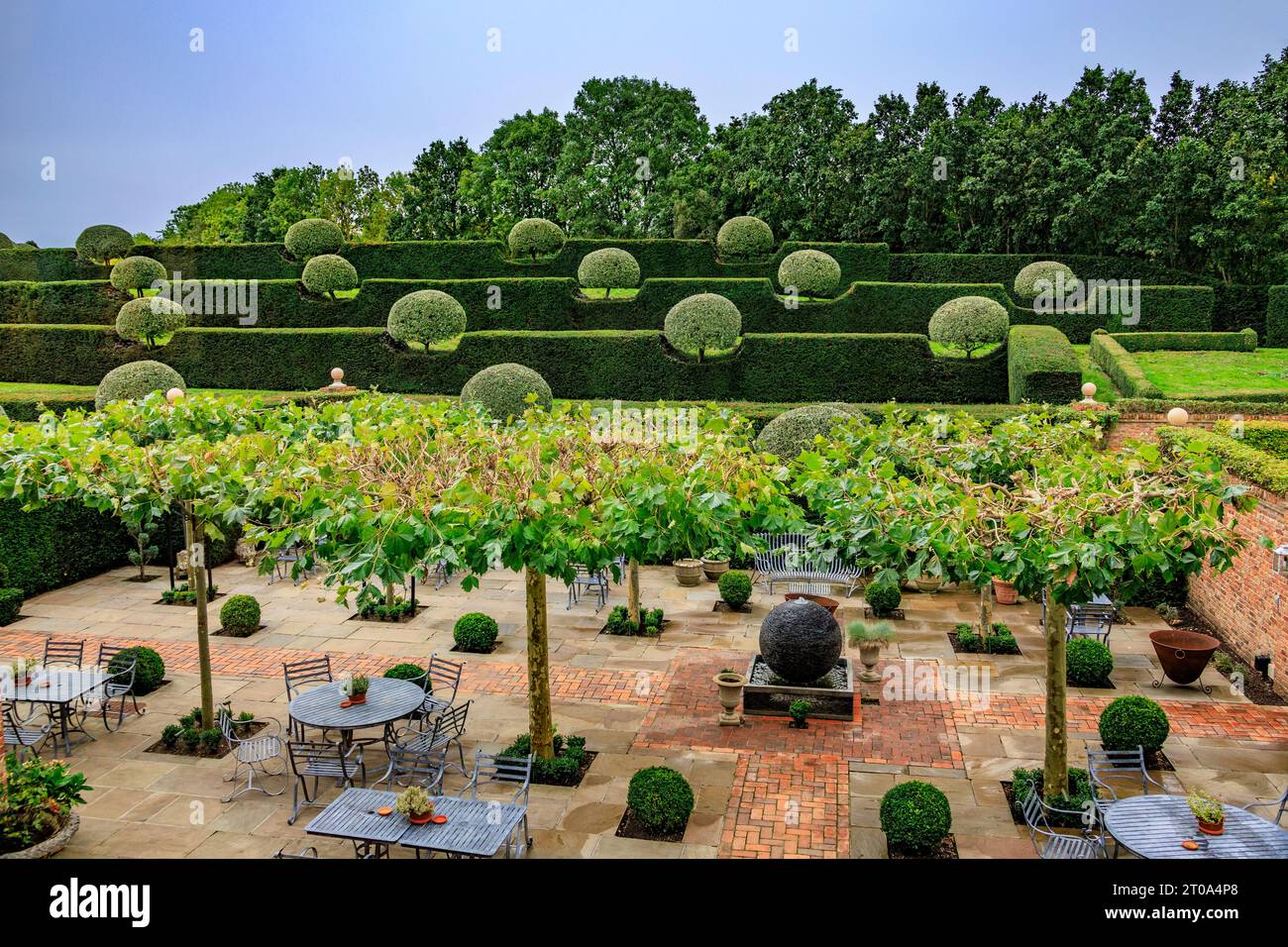 The meticulously and neatly shaped pear trees and yew hedges in the gardens of The Old Hall Hotel near Ely, Cambridgeshire, England, UK Stock Photo