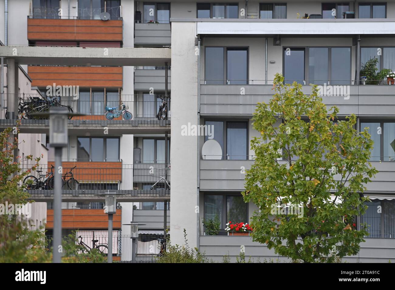 stellenangebote münchen immobilien