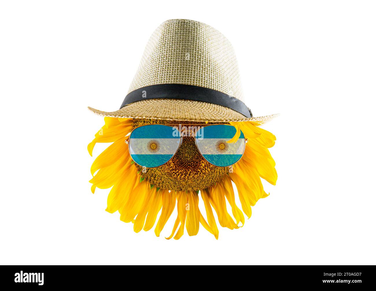Sunflower wearing a hat and glasses in the form of the Argentina flag