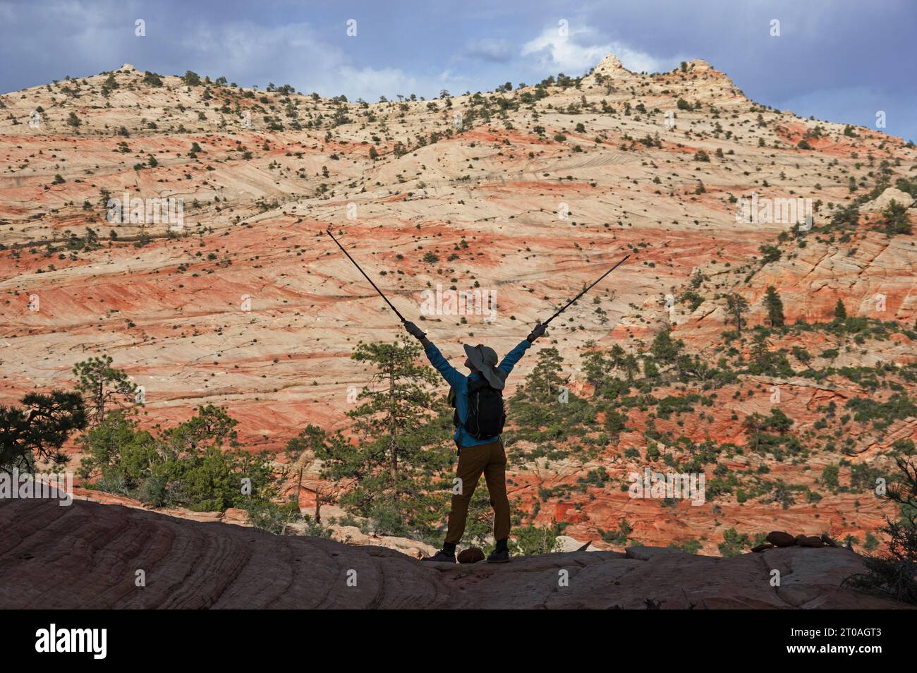 woman hiker celebrates at an overlook in Zion National Park with upraised trekking poles Stock Photo