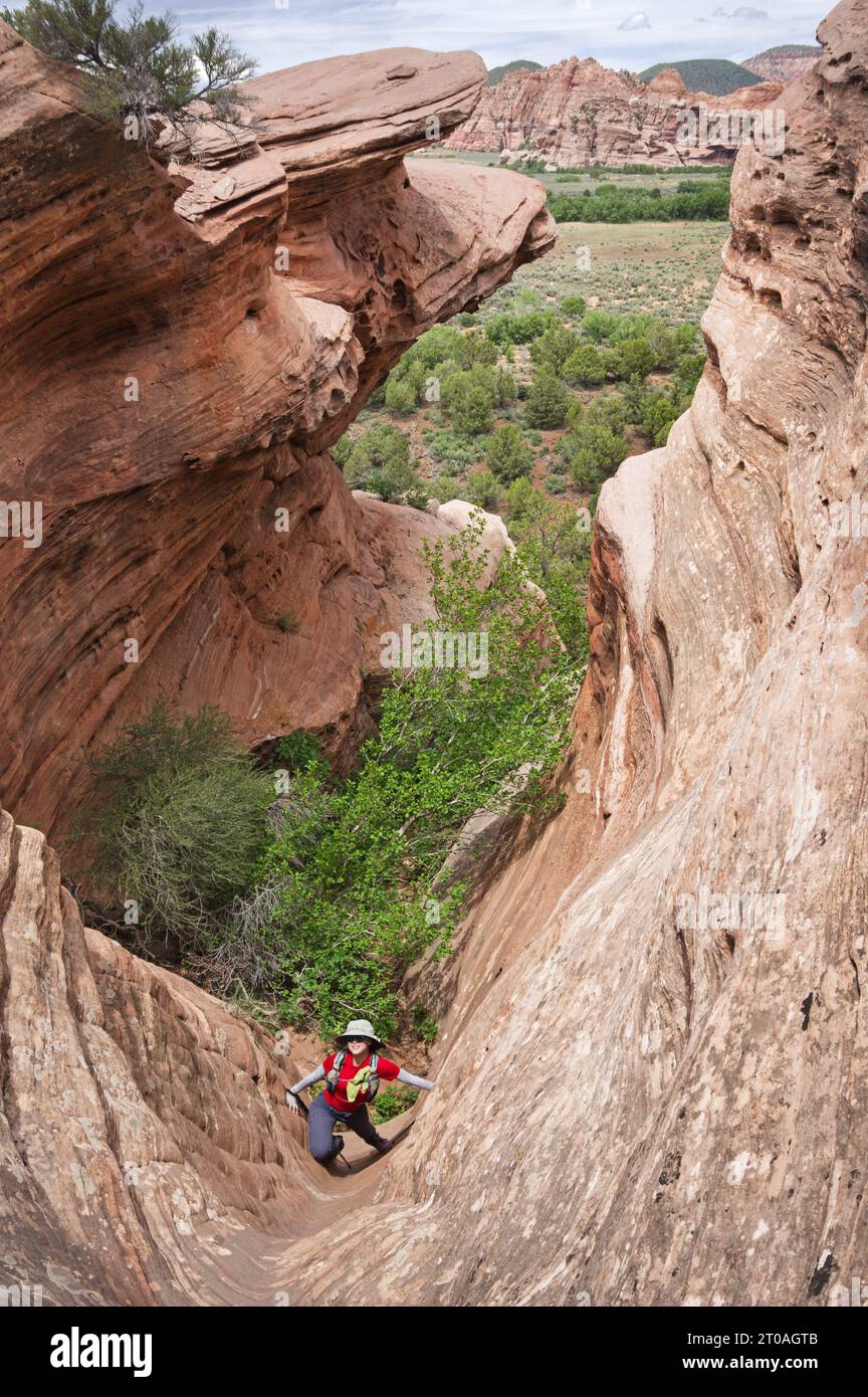 woman with red shirt scrambling up a groove iin Tabernacle Dome in Zion National Park of Utah Stock Photo