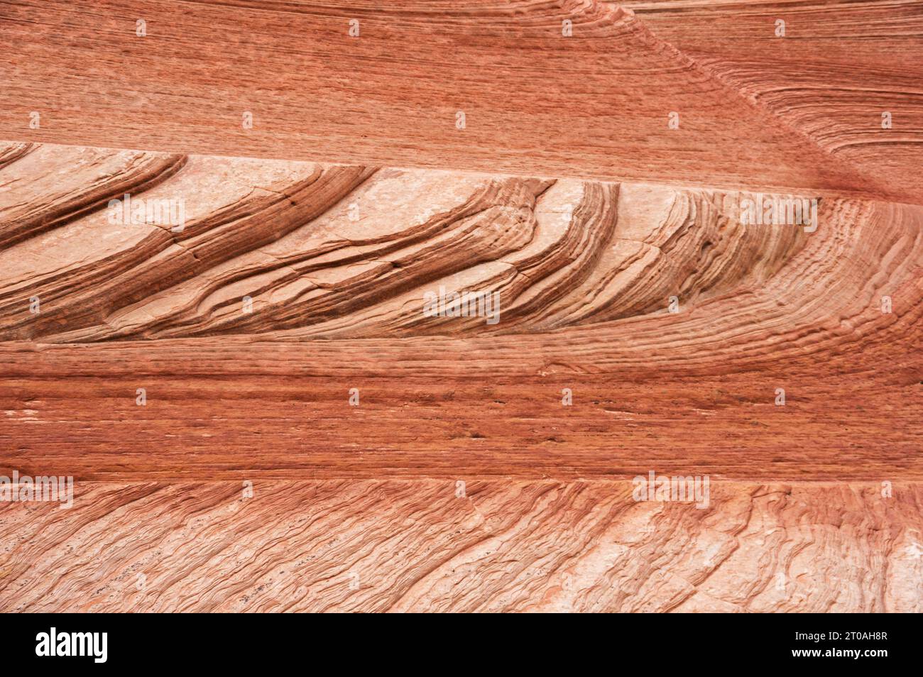 cross bedded red sandstone in Zion National Park Stock Photo