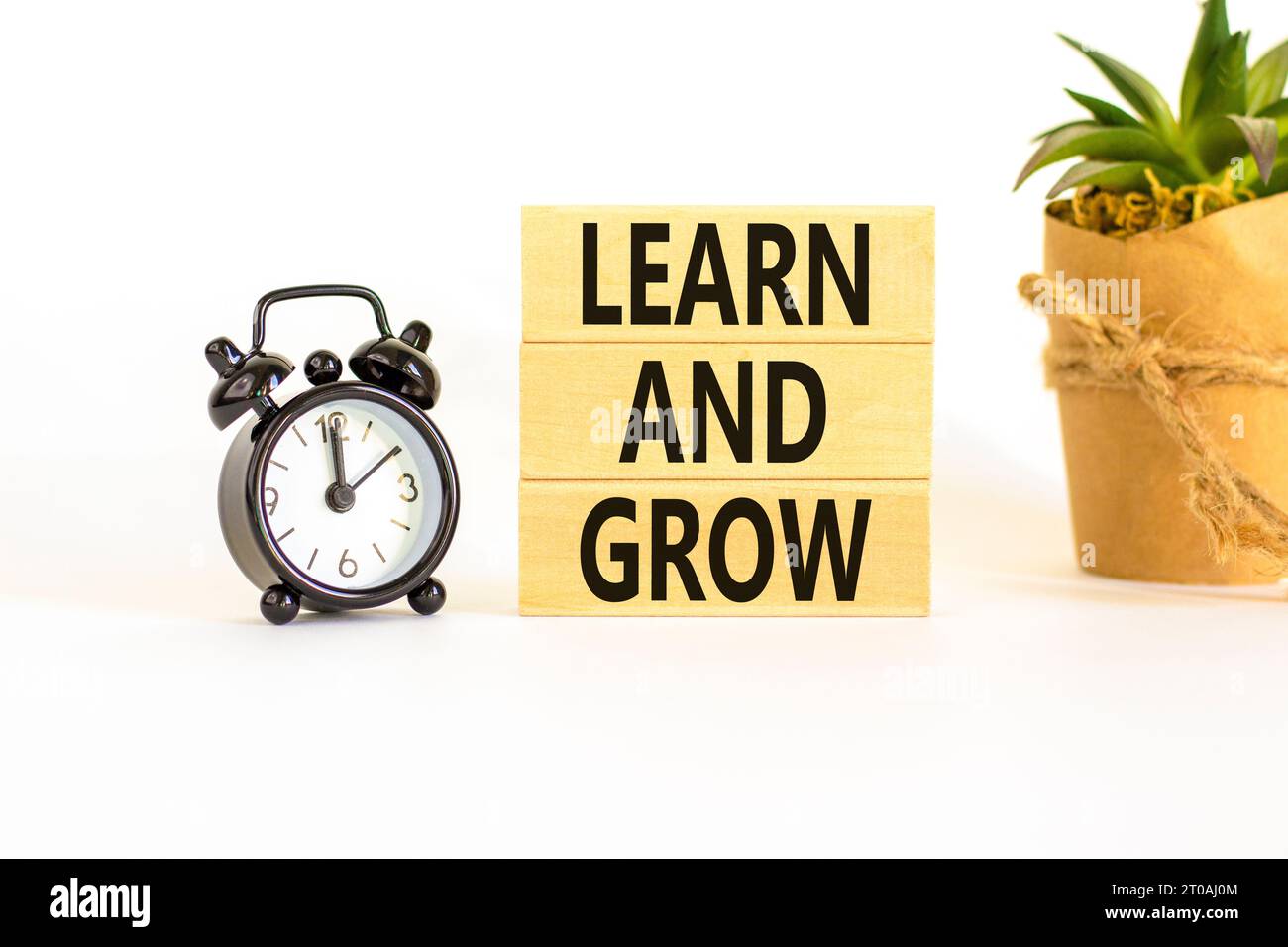 Learn and grow symbol. Concept word Learn And Grow on beautiful wooden ...