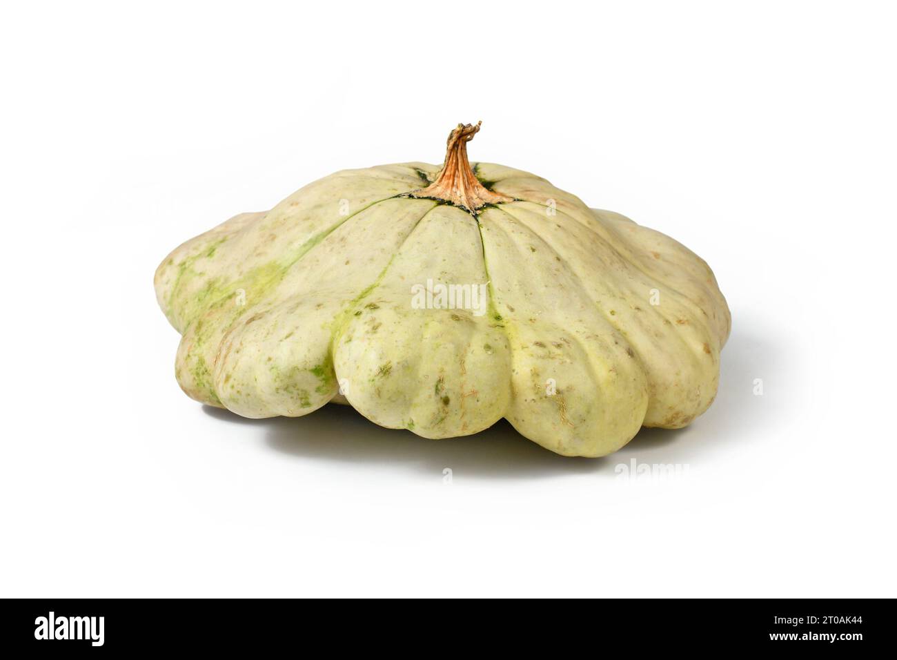 Light yellow Pattypan squash with round and shallow shape and scalloped edges on white background Stock Photo