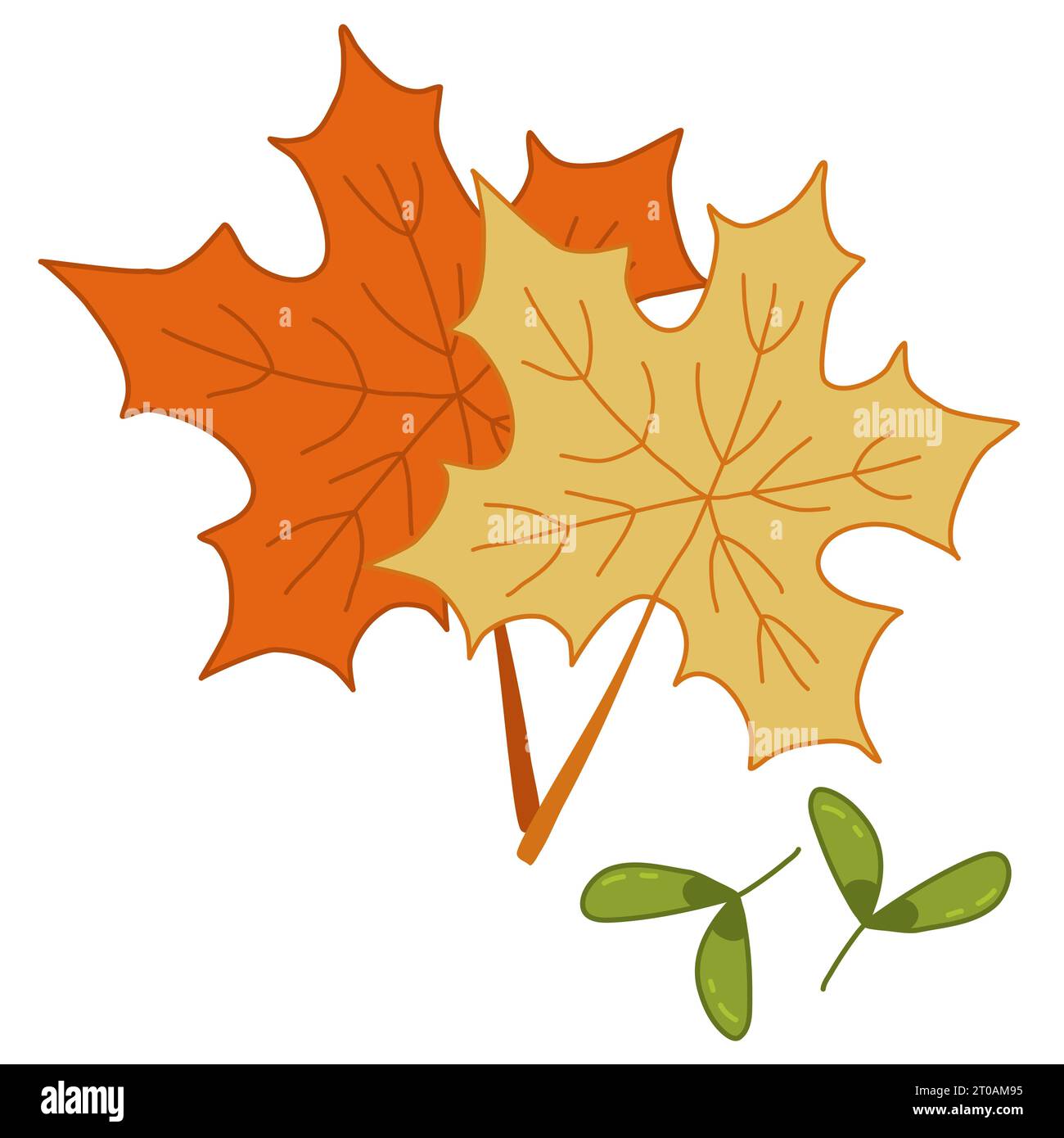 Colorful maple leaves and seeds or helicopters, autumn design element, doodle style vector illustration Stock Vector