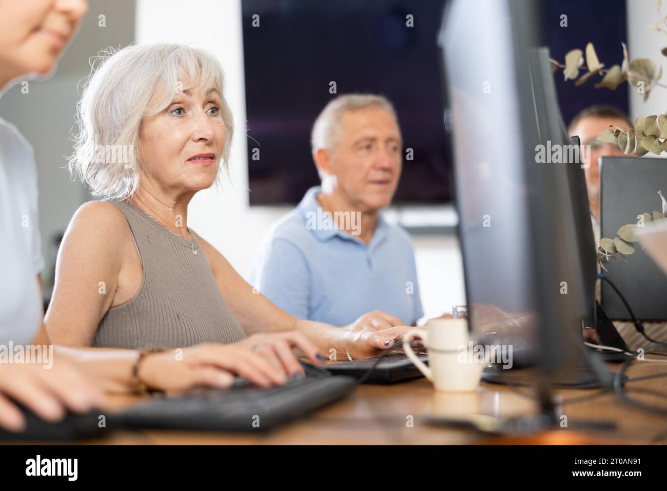 Old woman learning computer programs in training room Stock Photo