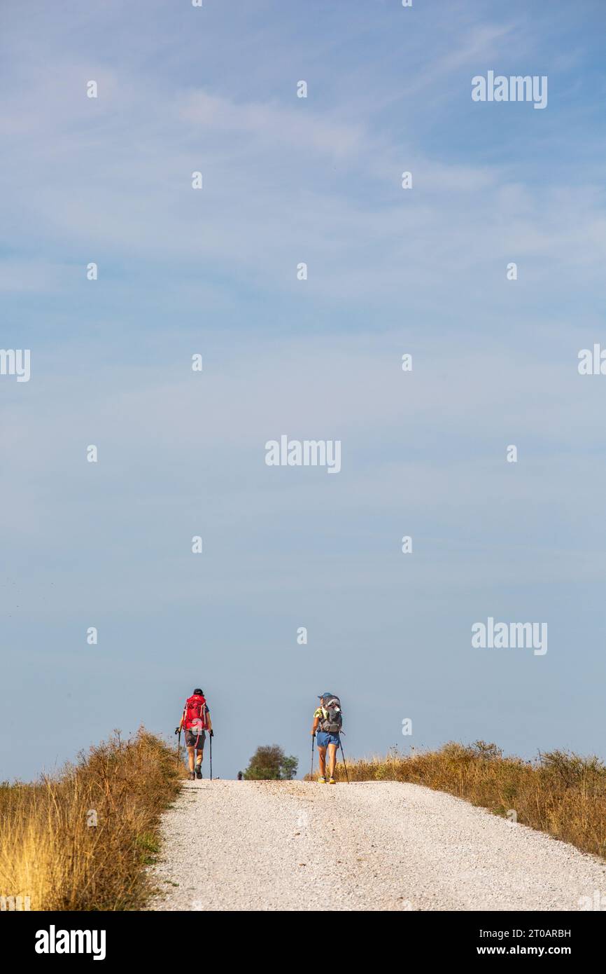 Pilgrims backpacking walking the long distance Spanish Camino de