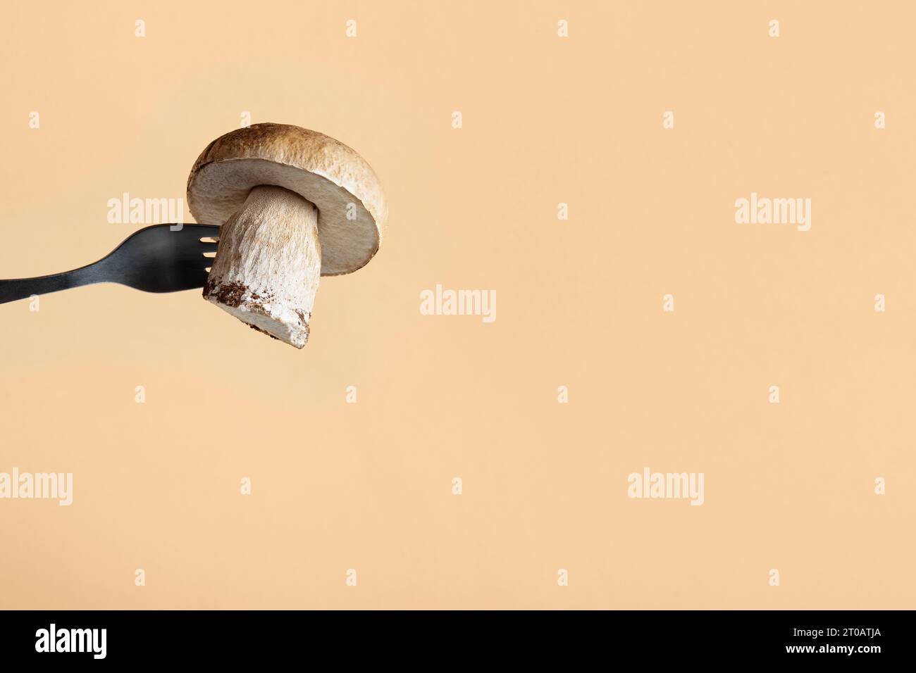Mushroom boletus impaled on a fork. Fresh cep on an orange background with a place for your text. Food, design, autumn, harvesting. Nature concept. Stock Photo