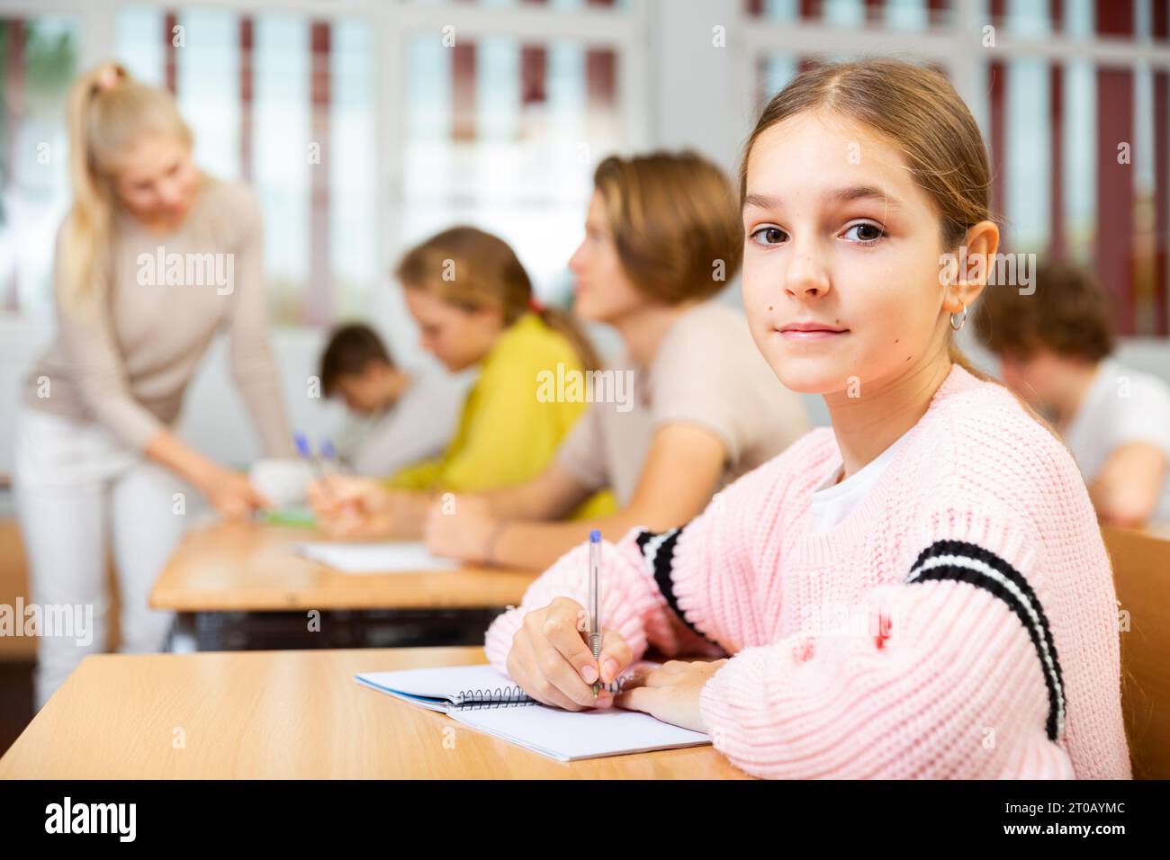 Portrait of schoolgirl at lesson in school Stock Photo - Alamy