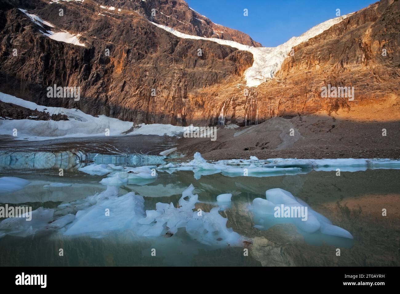 Icebergs and the Angel Glacier, Jasper National Park, Alberta, Canada Stock Photo