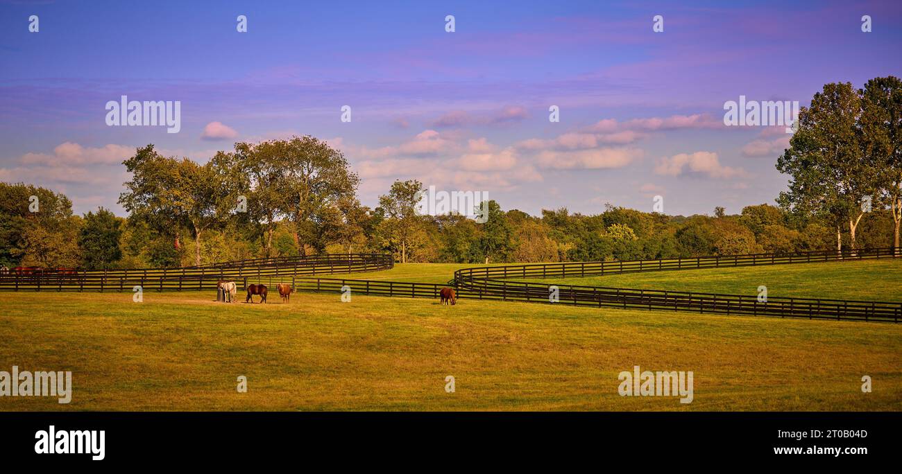 Green farm field fenced hi-res stock photography and images - Alamy