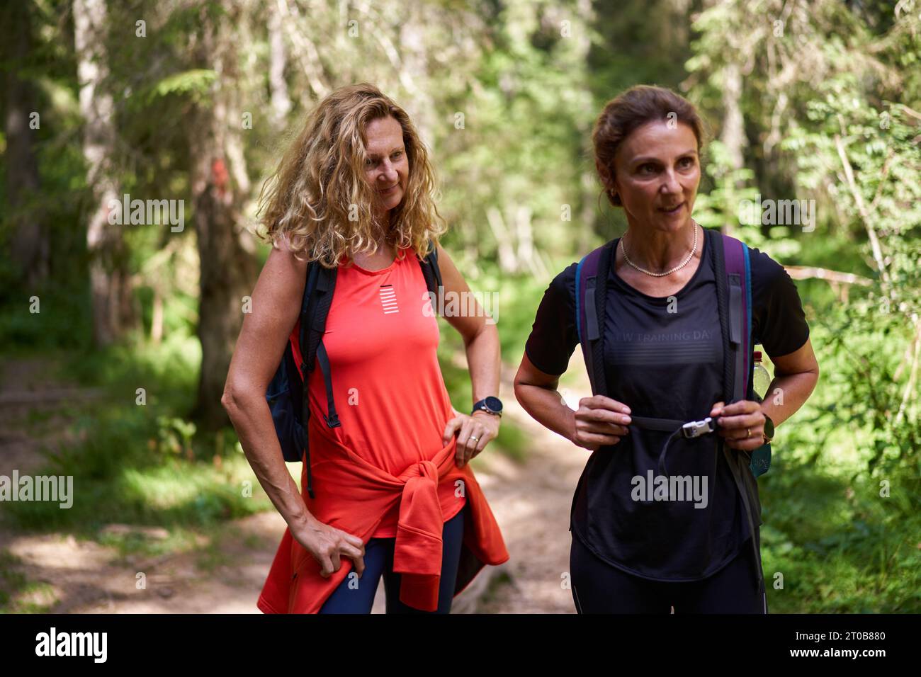 Two women with backpacks hiking in the forests Stock Photo - Alamy