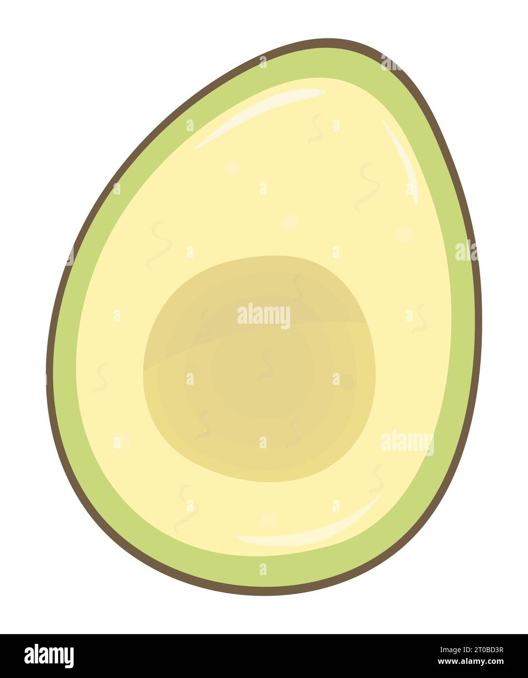Half an appetizing avocado, color vector illustration Stock Vector
