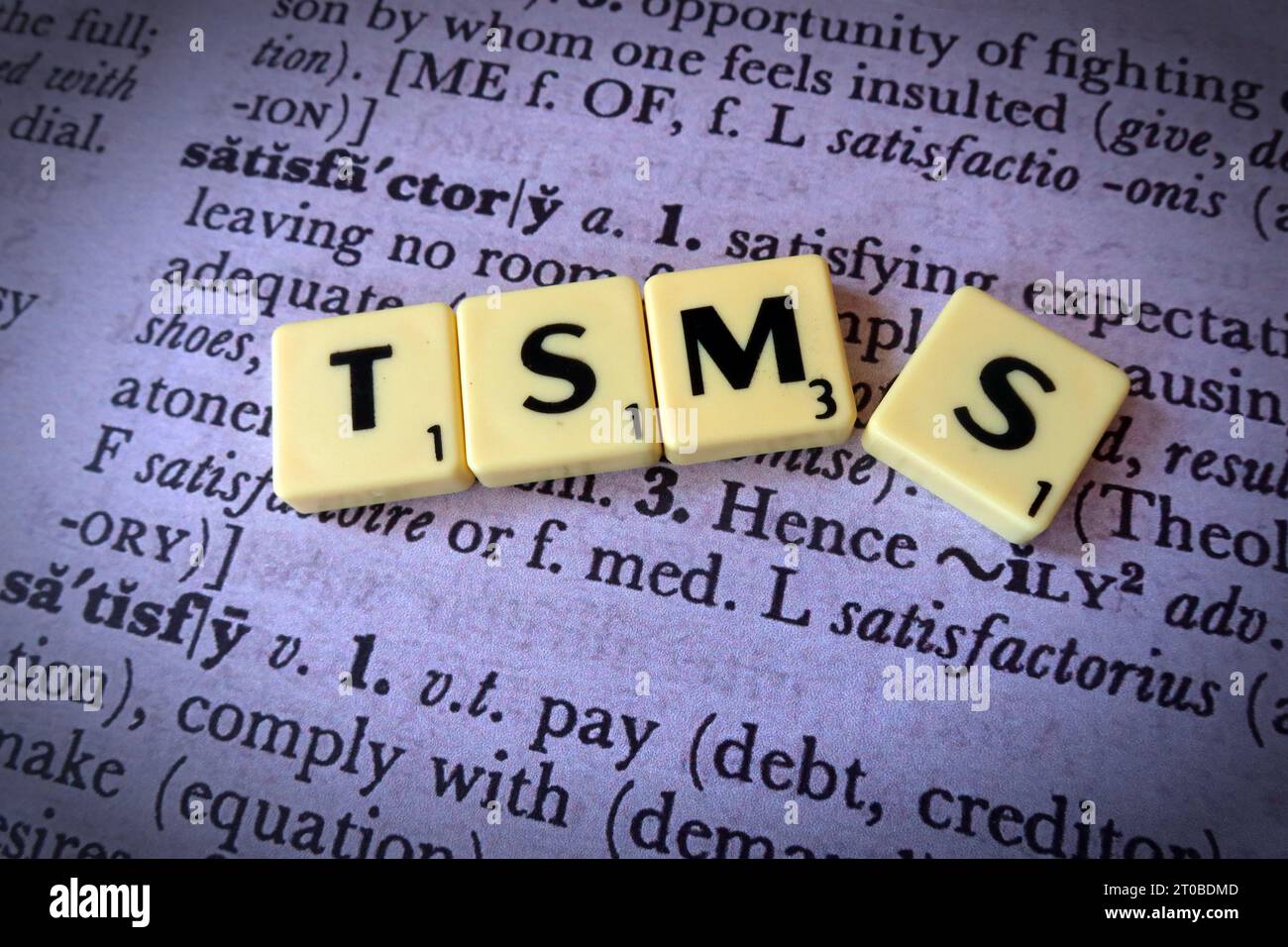 RSH Tenant satisfaction measures, TSMs Standard,  in Scrabble letters, on dictionary definition Stock Photo
