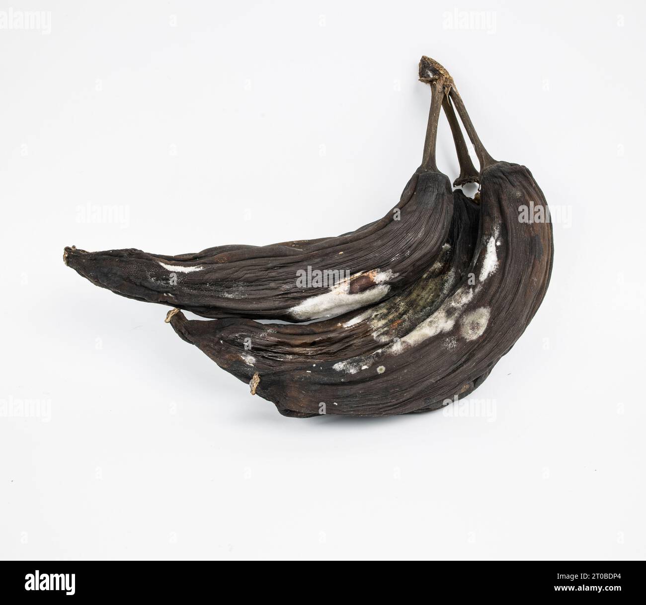Rotten Old Black Brpwn Moldy Bananas Stock Photo - Alamy