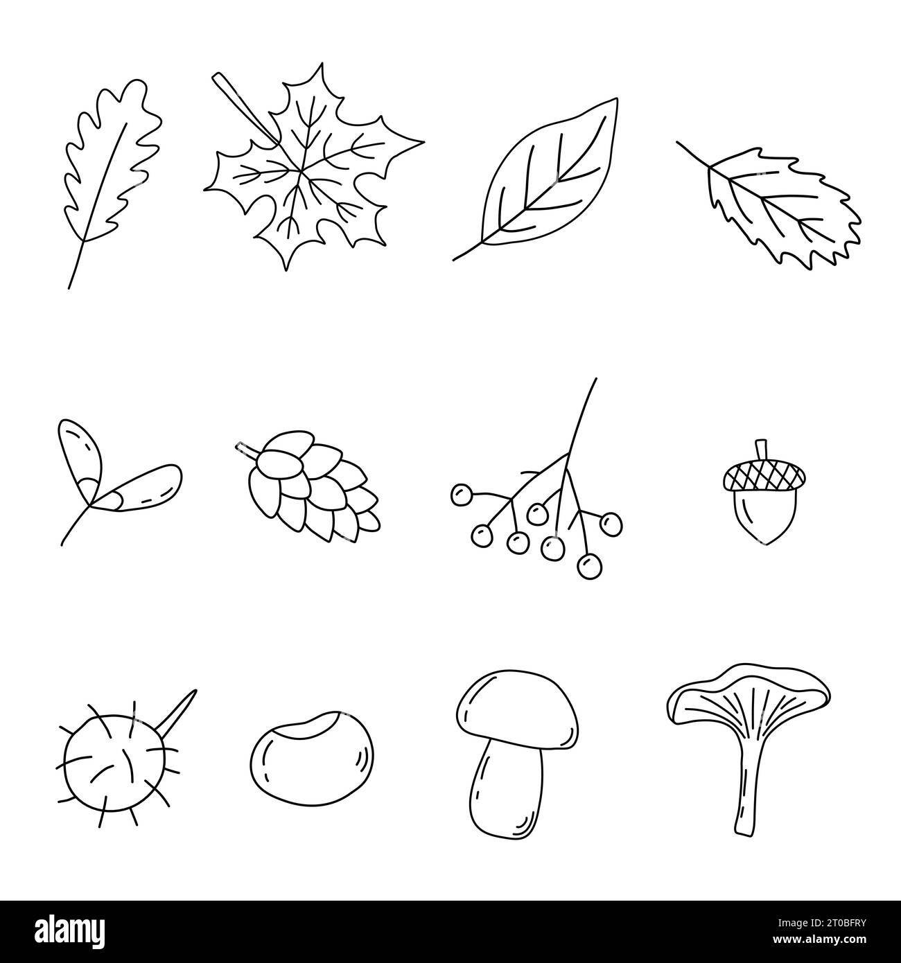 Set of autumn elements, leaves, berry, mushrooms, doodle style flat vector outline illustration for kids coloring book Stock Vector