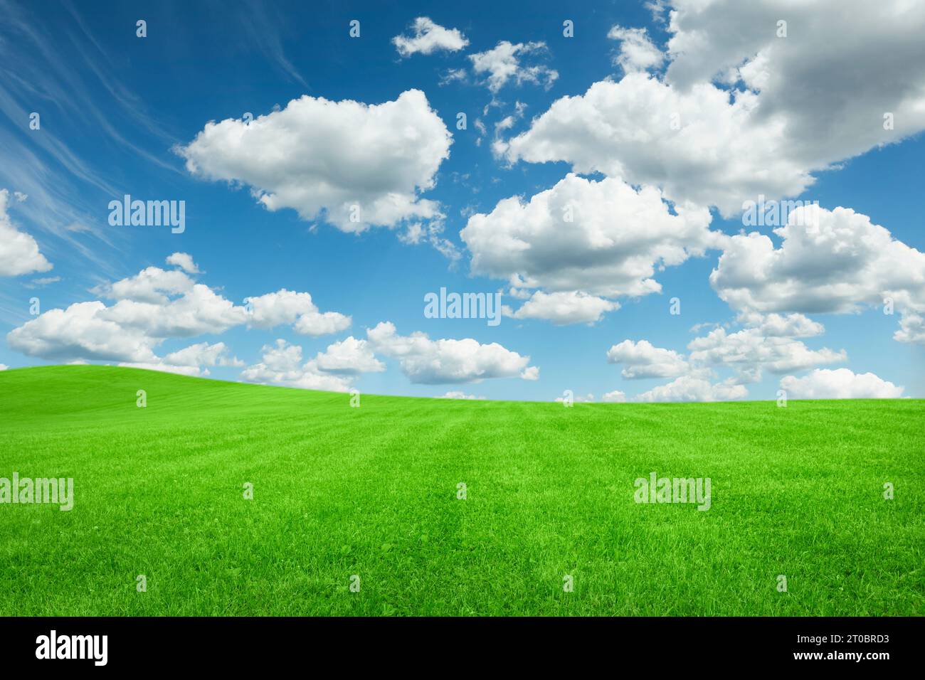 Lush green grass under bright blue sky with fluffy clouds Stock Photo ...