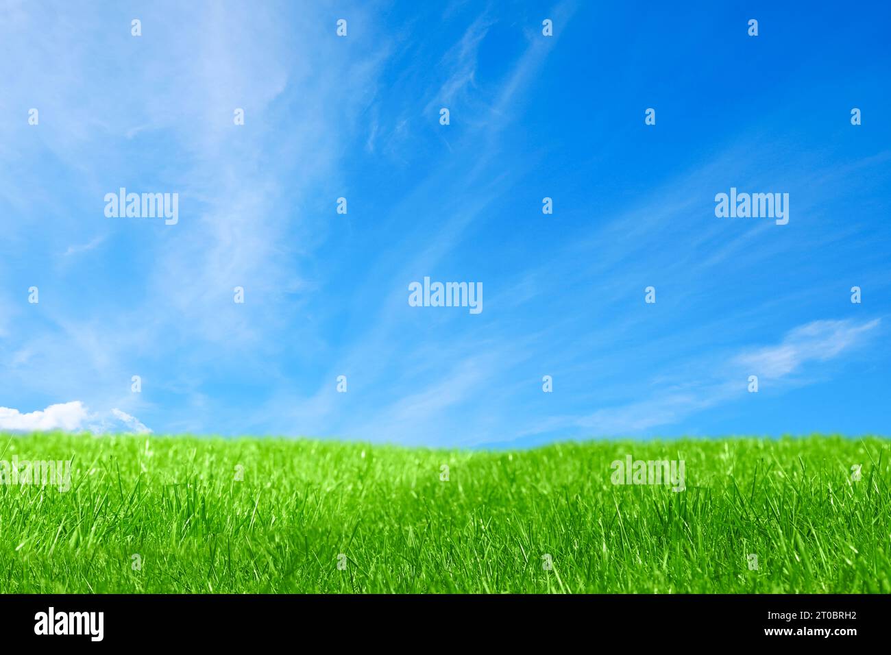 Lush green grass under bright blue sky with clouds Stock Photo - Alamy