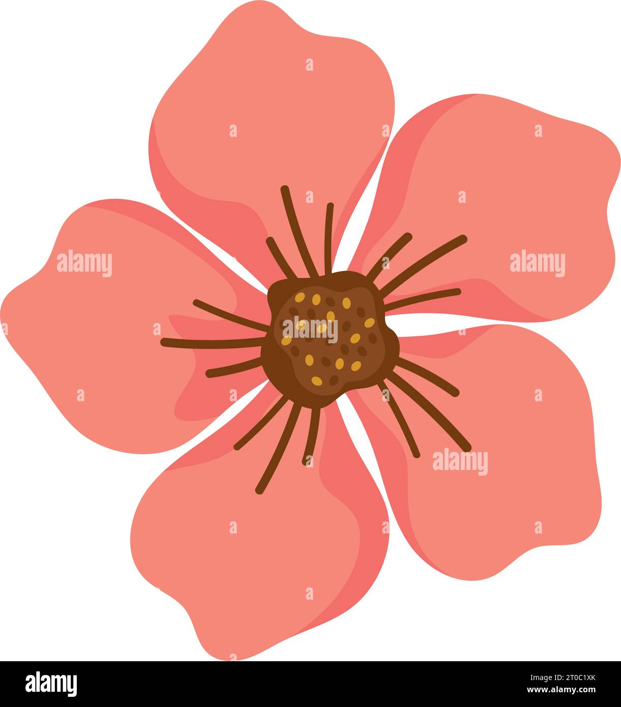 flower petals illustration Stock Vector Image & Art - Alamy