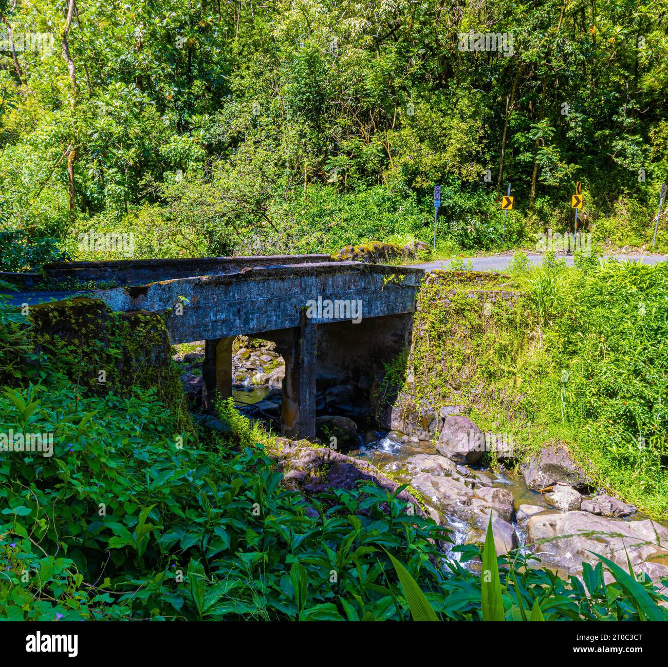 Tropical Rainforest and One Lane Bridge On The Road To Hana, Maui, Hawaii, USA Stock Photo