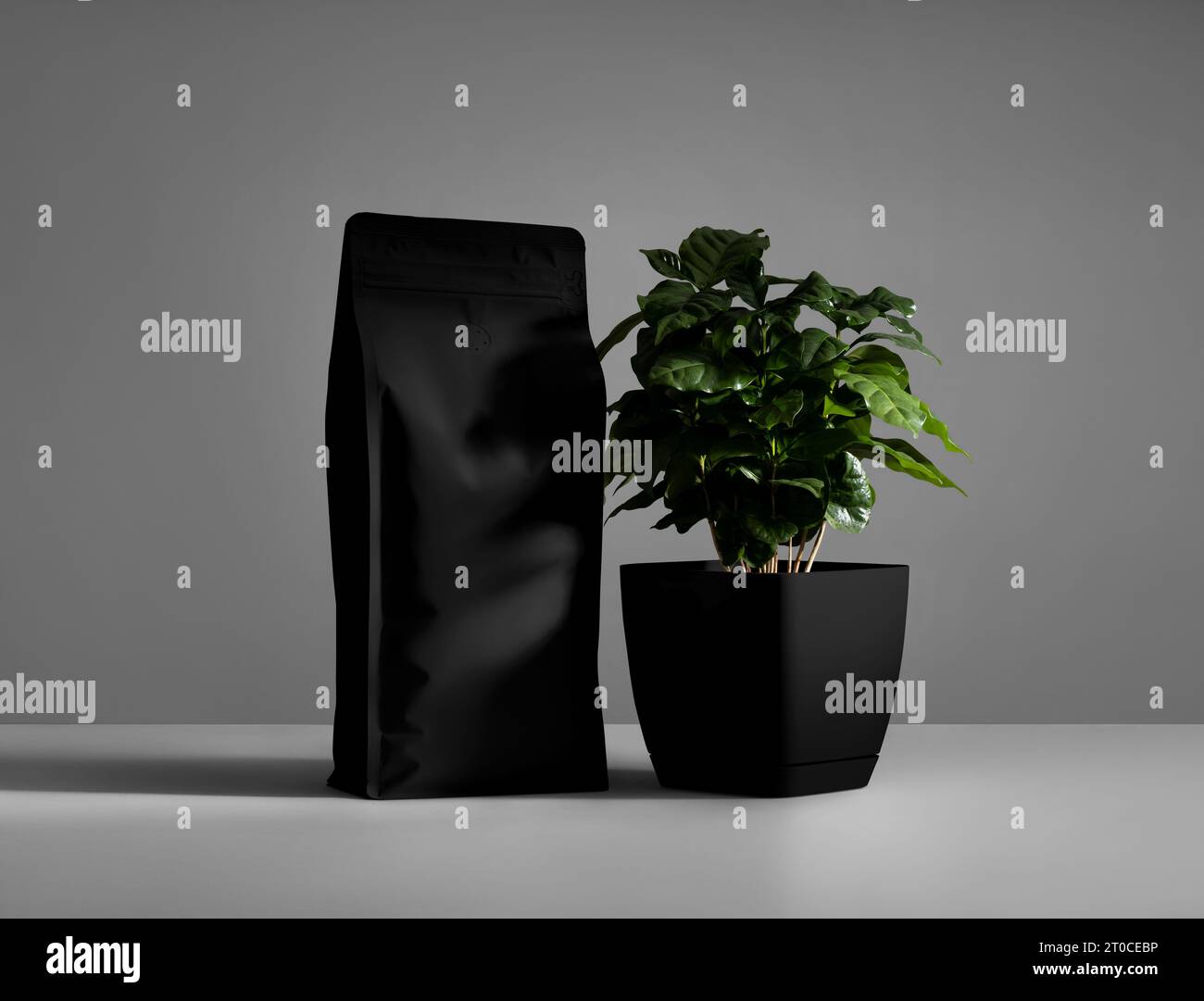 Mockup of a black matte pouch with a valve, arabica in a pot, zip package for design presentation, print, branding. Doy pack template with shadows on Stock Photo