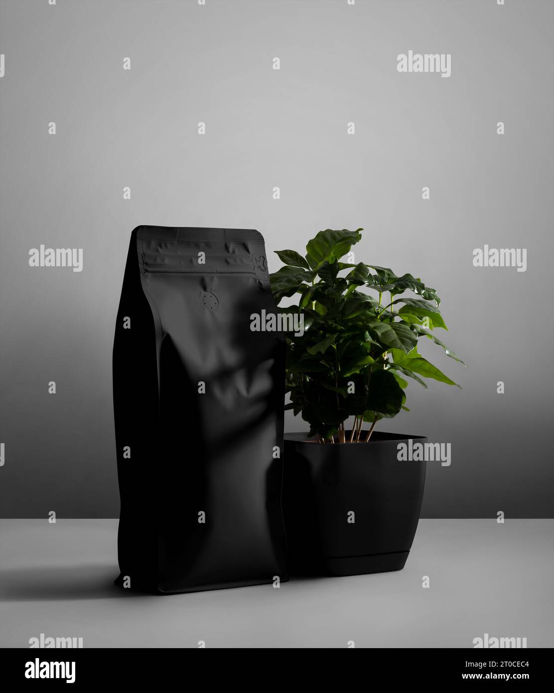 Black matte zip package coffee template with shadows, stylish presentation pouch with valve, green arabica tree in a pot. Mockup doy pack for design, Stock Photo