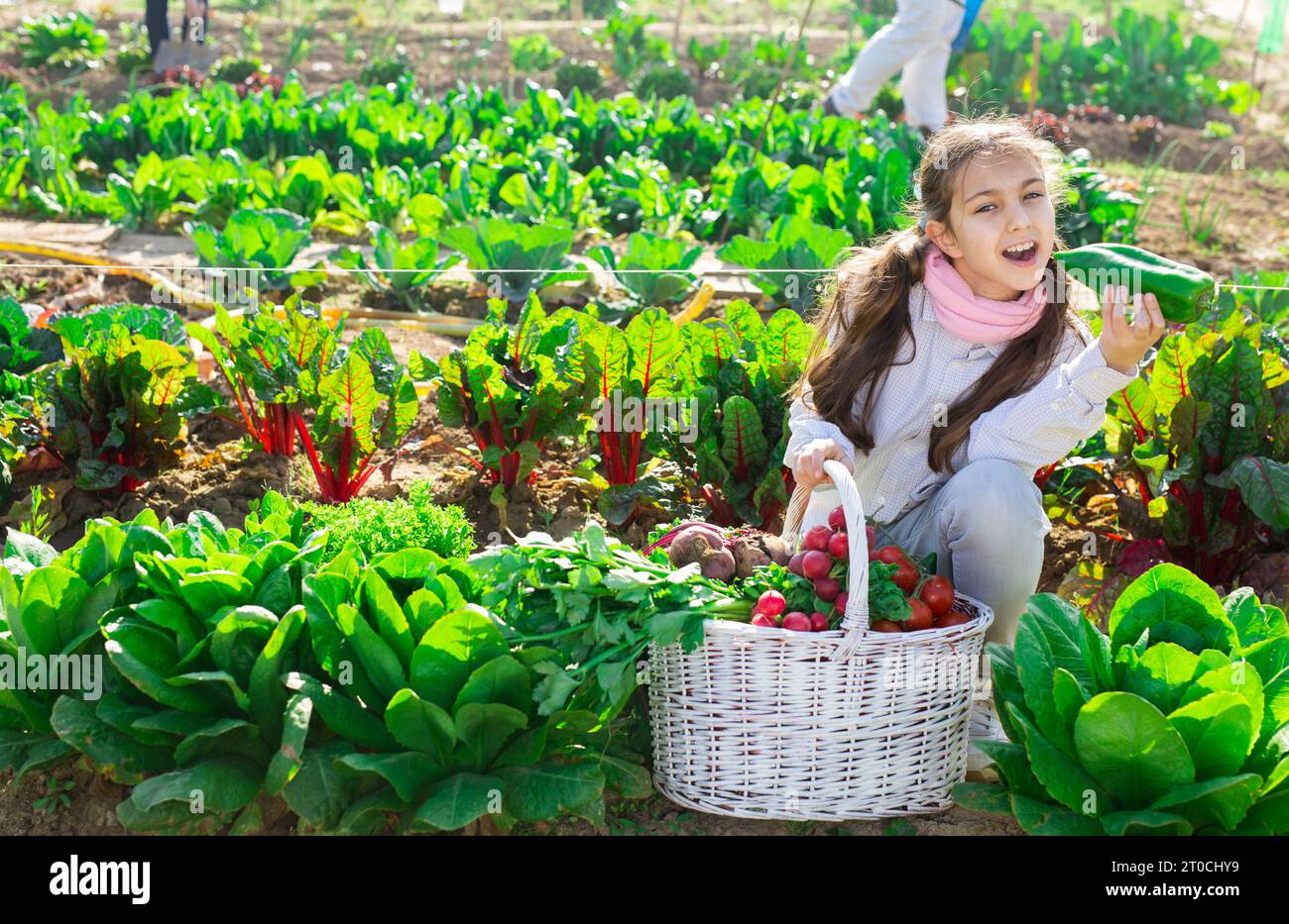 Teenage farmer girl posing with gathered vegetables Stock Photo - Alamy