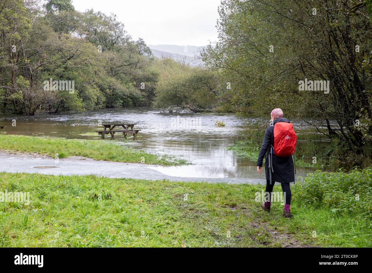 Lake District national park, River Rothay feeding into Redial water has flooded and woman hiker path is blocked, Ambleside,England,UK,september 2023 Stock Photo