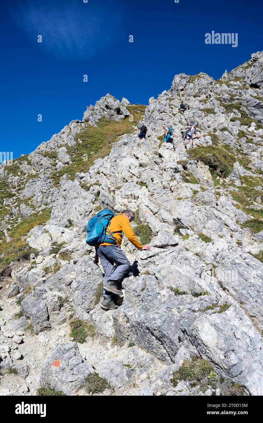Hiker, senior, 65, climbing the Grosse Klammspitze, Ammergau Alps, Upper Bavaria, Bavaria, Germany Stock Photo