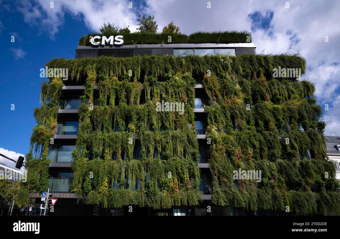 Climate neutral Facade Greening On New Building CMS Hasche Sigle 